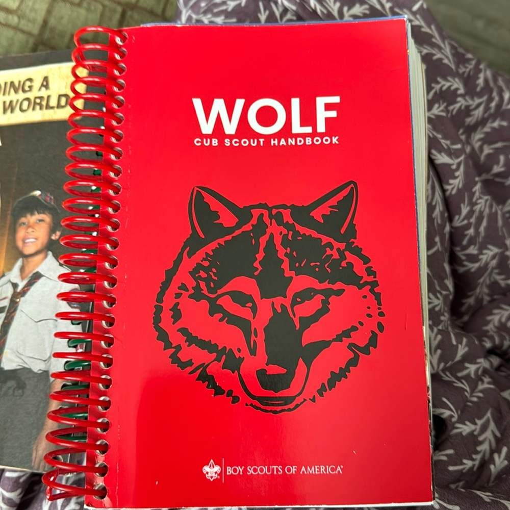 Wolf Cubscouts’s